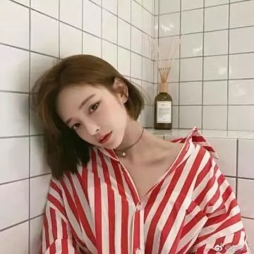 极地禁恋
